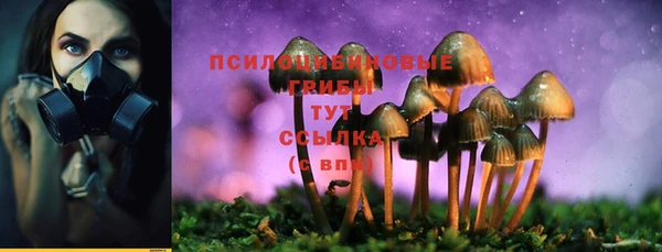 прущий лед Каменногорск
