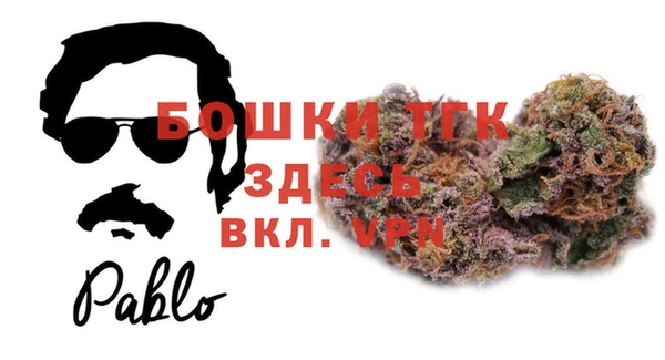 бошки Каменка