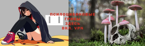 бошки Каменка