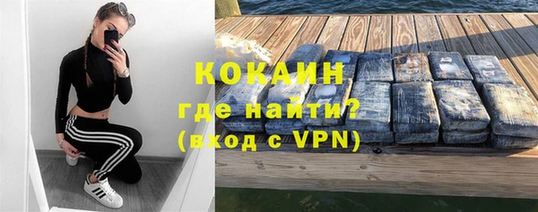 бошки Каменка